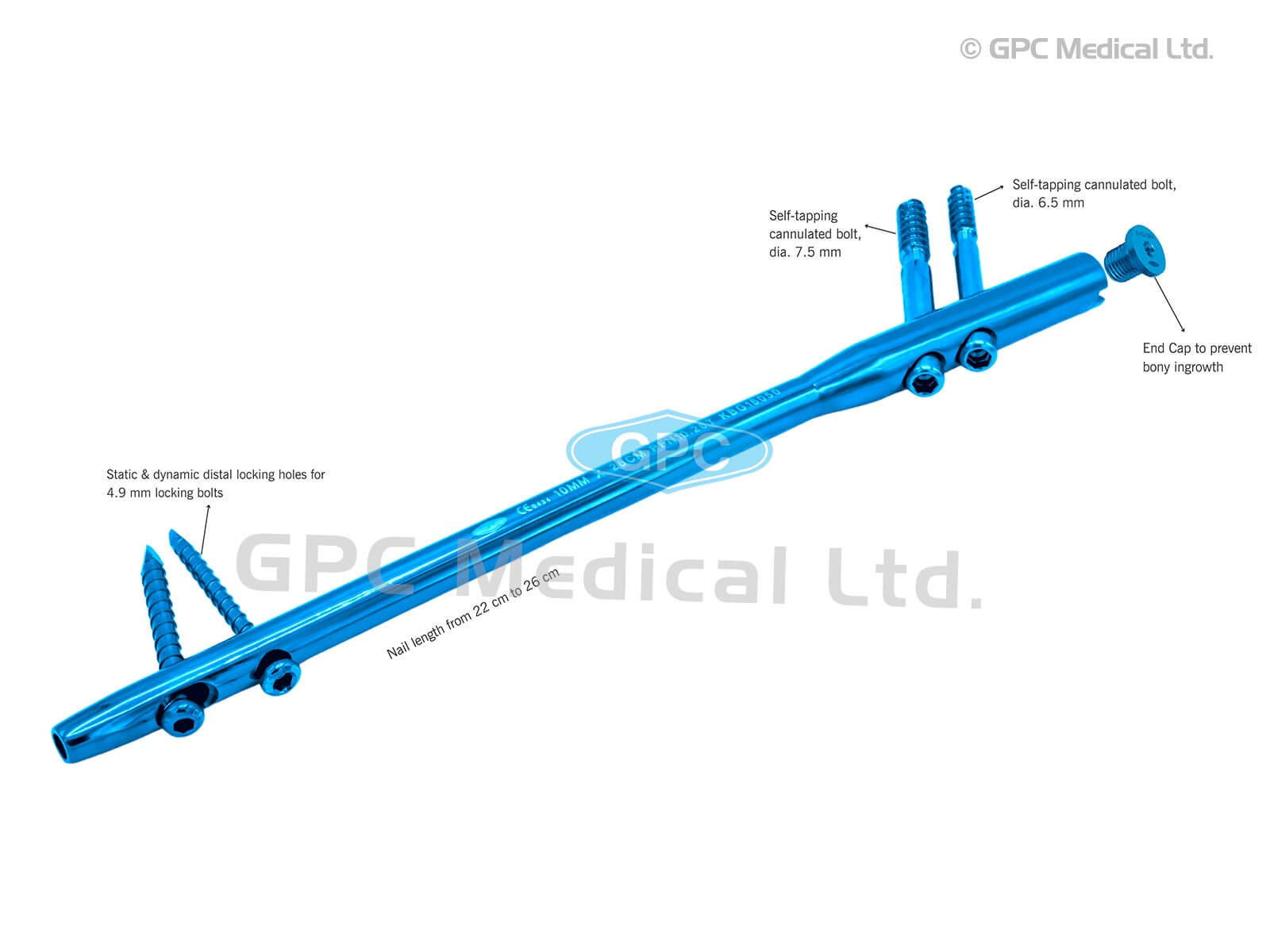 Short Proximal Femur Nail - Griportho